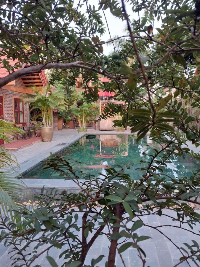 Tam Coc Tropical Homestay Ninh Binh Bagian luar foto